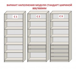Шкаф распашной серия «ЗЕВС» (PL3/С1/PL2) Серый камень/Небраска натуральный в Агрызе - agryz.ok-mebel.com | фото 6