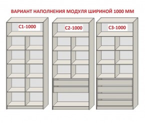 Шкаф распашной серия «ЗЕВС» (PL3/С1/PL2) Серый камень/Небраска натуральный в Агрызе - agryz.ok-mebel.com | фото 7