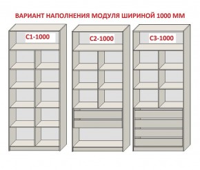 Шкаф распашной серия «ЗЕВС» (PL3/С1/PL2) в Агрызе - agryz.ok-mebel.com | фото 7