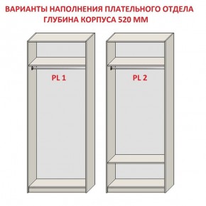 Шкаф распашной серия «ЗЕВС» (PL3/С1/PL2) в Агрызе - agryz.ok-mebel.com | фото 9