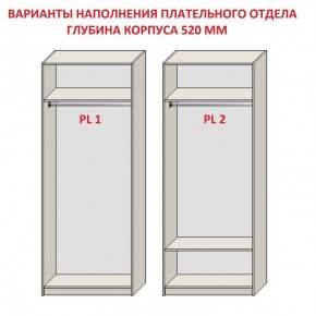 Шкаф распашной серия «ЗЕВС» (PL3/С1/PL2) Серый камень/Небраска натуральный в Агрызе - agryz.ok-mebel.com | фото 9