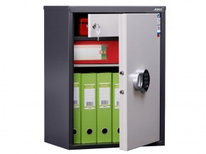 Шкаф SL-65T-EL в Агрызе - agryz.ok-mebel.com | фото 3
