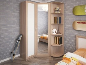 Шкаф угловой с зеркалом ОСТИН М01 (ЯШС) в Агрызе - agryz.ok-mebel.com | фото 4
