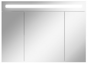 Шкаф-зеркало Аврора 100 с подсветкой LED Домино (DV8012HZ) в Агрызе - agryz.ok-mebel.com | фото 1