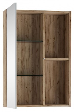Шкаф-зеркало Craft 50 левый/правый Домино (DCr2212HZ) в Агрызе - agryz.ok-mebel.com | фото 2