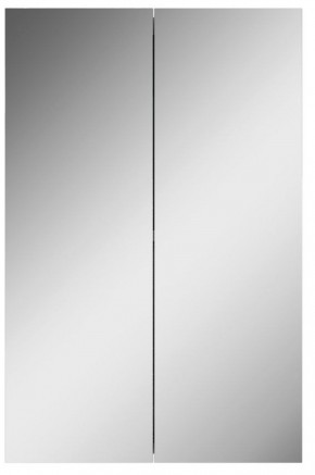 Шкаф-зеркало Норма 45 2 двери АЙСБЕРГ (DA1635HZ) в Агрызе - agryz.ok-mebel.com | фото 4