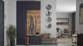 Стенка для прихожей Лаура в Агрызе - agryz.ok-mebel.com | фото