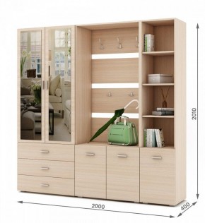 Стенка для прихожей Мартин-3 в Агрызе - agryz.ok-mebel.com | фото 2