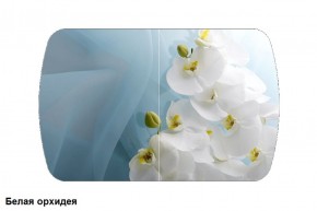 Стол Бостон 900*600 (опоры Брифинг) Стекло/фотопечать Белая Орхидея в Агрызе - agryz.ok-mebel.com | фото