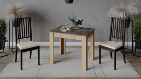 Стол обеденный Промо в Агрызе - agryz.ok-mebel.com | фото 2