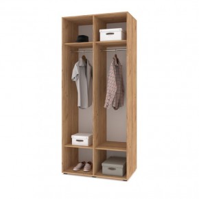 СТОУН С21 Шкаф 2-х створчатый (дуб золотой/графит) в Агрызе - agryz.ok-mebel.com | фото 3