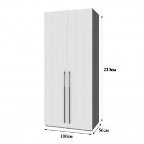 СТОУН С21 Шкаф 2-х створчатый (серый дуб/белый) в Агрызе - agryz.ok-mebel.com | фото 2