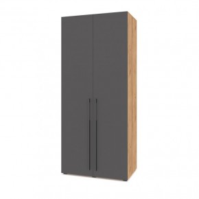 СТОУН С22 Шкаф 2-х створчатый (золотой дуб/графит) в Агрызе - agryz.ok-mebel.com | фото