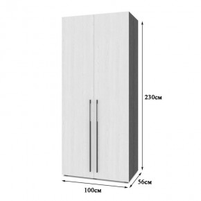 СТОУН С22 Шкаф 2-х створчатый (золотой дуб/графит) в Агрызе - agryz.ok-mebel.com | фото 2