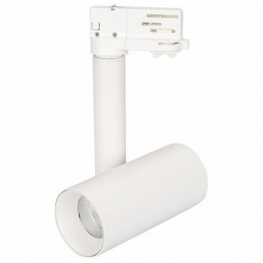 Светильник на штанге Arlight Sp-Polo 027486 в Агрызе - agryz.ok-mebel.com | фото