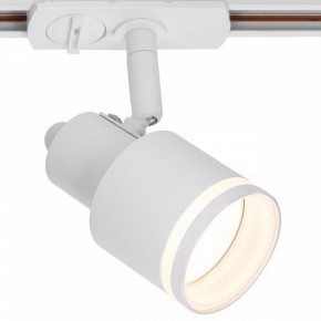 Светильник на штанге Citilux Bruno CL565T10 в Агрызе - agryz.ok-mebel.com | фото 2