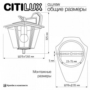 Светильник на штанге Citilux FORTS CLU10W в Агрызе - agryz.ok-mebel.com | фото 9