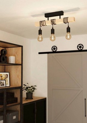 Светильник на штанге Eglo TOWNSHEND 43511 в Агрызе - agryz.ok-mebel.com | фото 2