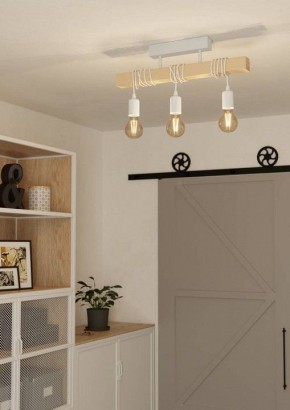 Светильник на штанге Eglo TOWNSHEND 44082 в Агрызе - agryz.ok-mebel.com | фото 2