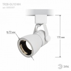 Светильник на штанге Эра  TR38-GU10 WH в Агрызе - agryz.ok-mebel.com | фото 6