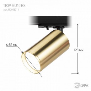 Светильник на штанге Эра  TR39-GU10 BS в Агрызе - agryz.ok-mebel.com | фото 6
