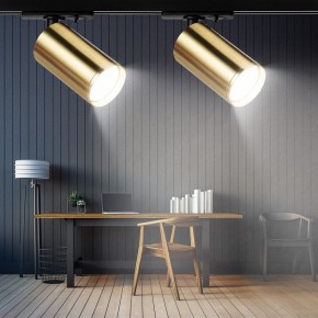 Светильник на штанге Эра  TR39-GU10 BS в Агрызе - agryz.ok-mebel.com | фото 7