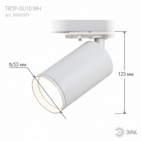 Светильник на штанге Эра  TR39-GU10 WH в Агрызе - agryz.ok-mebel.com | фото 7