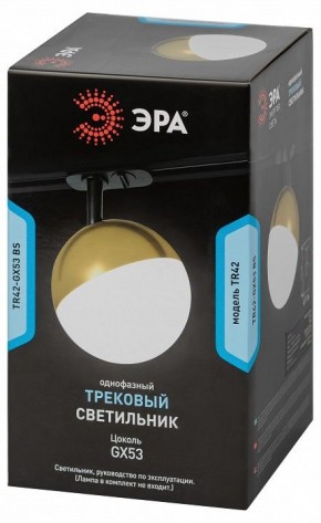 Светильник на штанге Эра  TR42-GX53 BS в Агрызе - agryz.ok-mebel.com | фото 6
