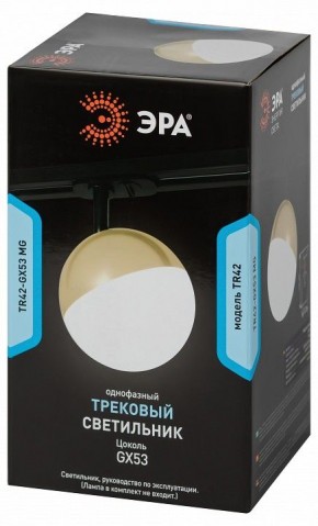 Светильник на штанге Эра  TR42-GX53 MG в Агрызе - agryz.ok-mebel.com | фото 6