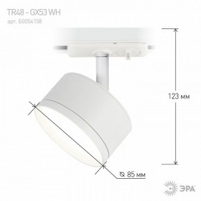 Светильник на штанге Эра  TR48 - GX53 WH в Агрызе - agryz.ok-mebel.com | фото 4