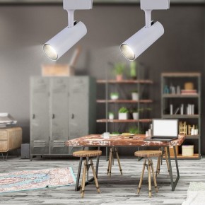 Светильник на штанге Эра  TR5-20 COB WH в Агрызе - agryz.ok-mebel.com | фото 4