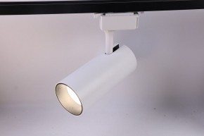 Светильник на штанге Эра  TR5-30 COB WH в Агрызе - agryz.ok-mebel.com | фото 2