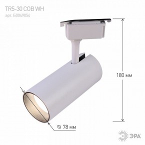 Светильник на штанге Эра  TR5-30 COB WH в Агрызе - agryz.ok-mebel.com | фото 6