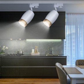 Светильник на штанге Эра  TR51 - GU10 WH в Агрызе - agryz.ok-mebel.com | фото 3