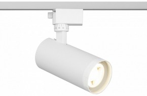 Светильник на штанге Эра  TR59 - 2040 WH в Агрызе - agryz.ok-mebel.com | фото