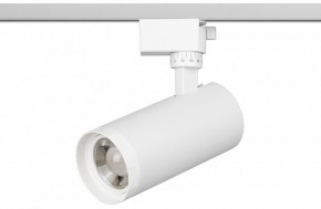 Светильник на штанге Эра  TR59 - 2040 WH в Агрызе - agryz.ok-mebel.com | фото 2