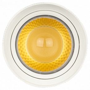 Светильник на штанге Эра  TR59 - 2040 WH в Агрызе - agryz.ok-mebel.com | фото 3