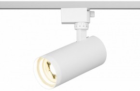 Светильник на штанге Эра  TR59 - 2040 WH в Агрызе - agryz.ok-mebel.com | фото 5