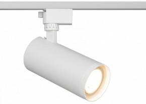 Светильник на штанге Эра  TR59 - 3030 WH в Агрызе - agryz.ok-mebel.com | фото