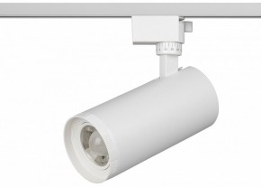 Светильник на штанге Эра  TR59 - 3030 WH в Агрызе - agryz.ok-mebel.com | фото 2