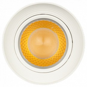 Светильник на штанге Эра  TR59 - 3030 WH в Агрызе - agryz.ok-mebel.com | фото 3