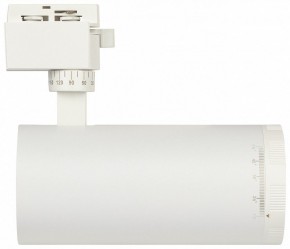 Светильник на штанге Эра  TR59 - 3030 WH в Агрызе - agryz.ok-mebel.com | фото 4