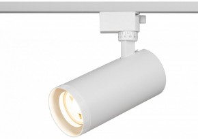 Светильник на штанге Эра  TR59 - 3030 WH в Агрызе - agryz.ok-mebel.com | фото 5
