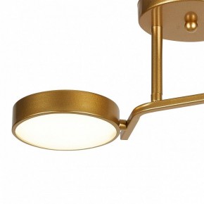 Светильник на штанге Escada Starlight 10273/2LED в Агрызе - agryz.ok-mebel.com | фото 4