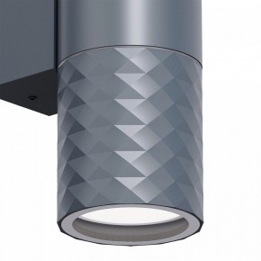 Светильник на штанге Favourite Bonum 4660-2W в Агрызе - agryz.ok-mebel.com | фото 3
