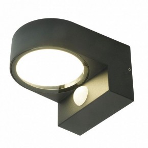 Светильник на штанге Feron DH1202 51327 в Агрызе - agryz.ok-mebel.com | фото 2