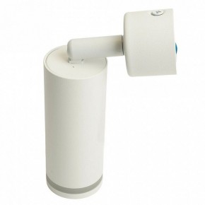 Светильник на штанге Feron ML1001 51370 в Агрызе - agryz.ok-mebel.com | фото 6