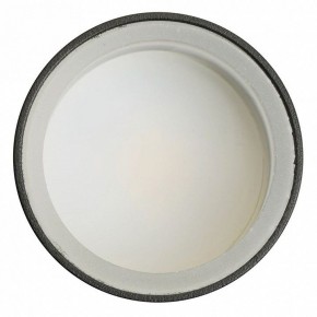 Светильник на штанге Feron ML1001 51371 в Агрызе - agryz.ok-mebel.com | фото 4