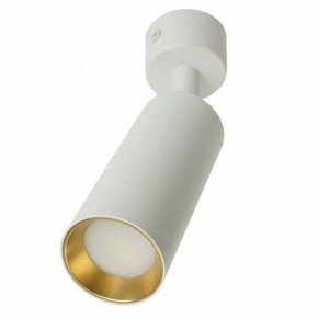 Светильник на штанге Feron ML1011 51380 в Агрызе - agryz.ok-mebel.com | фото 9