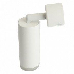 Светильник на штанге Feron ML1021 51390 в Агрызе - agryz.ok-mebel.com | фото 3